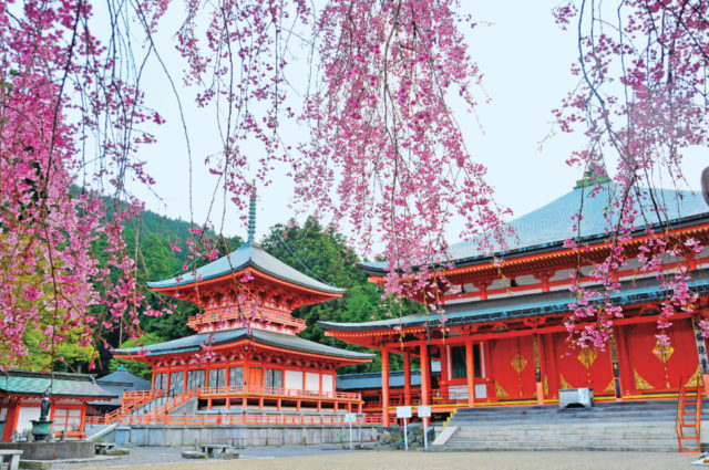滋賀 比叡山延暦寺 人々の信仰を集める世界遺産を観光 まっぷるトラベルガイド