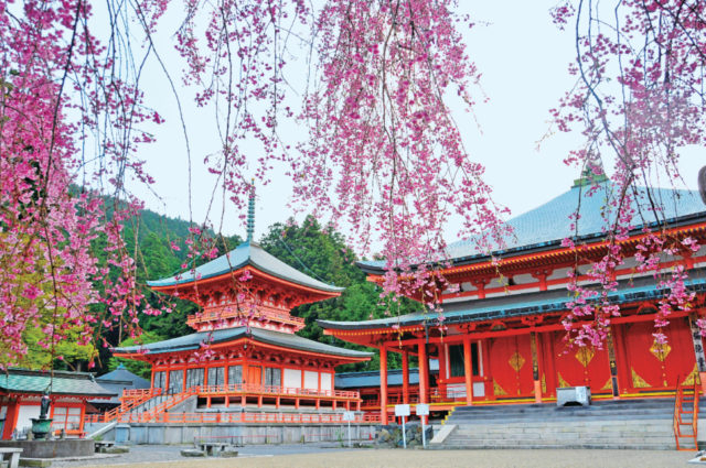 滋賀【比叡山延暦寺】人々の信仰を集める世界遺産を観光！ - まっぷるトラベルガイド