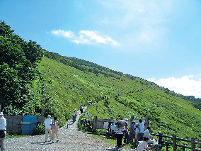 滋賀 花畑ハイキング お手軽登山を体験 6枚目の画像