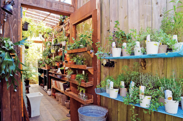 滋賀 緑に癒されるお店 植物好きが集まるスポット 観光旅行メディア まっぷるトラベルガイド