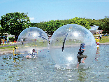 びわ湖 湖上アクティビティ ウォータースポーツをチェック まっぷるトラベルガイド