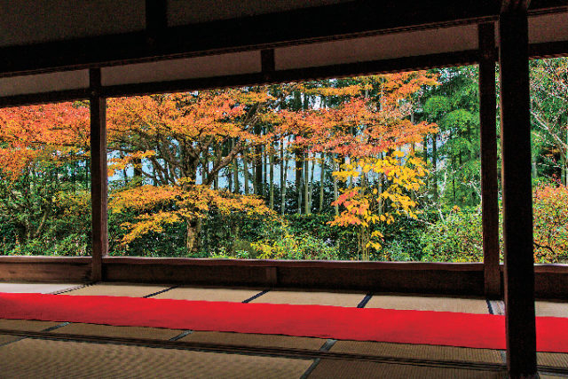 京都 大原エリア 三千院 宝泉院 来迎院 寂光院の紅葉おすすめスポット モデルコースもご案内 まっぷるトラベルガイド