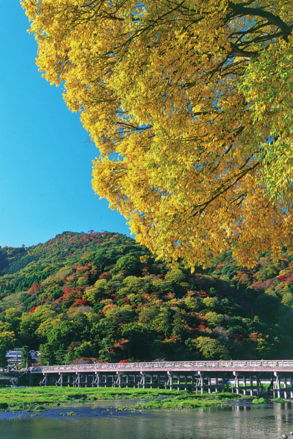 嵐山・嵯峨野周辺の紅葉おすすめスポット 渡月橋