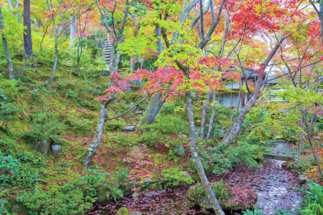 嵐山・嵯峨野周辺の紅葉おすすめスポット 常寂光寺