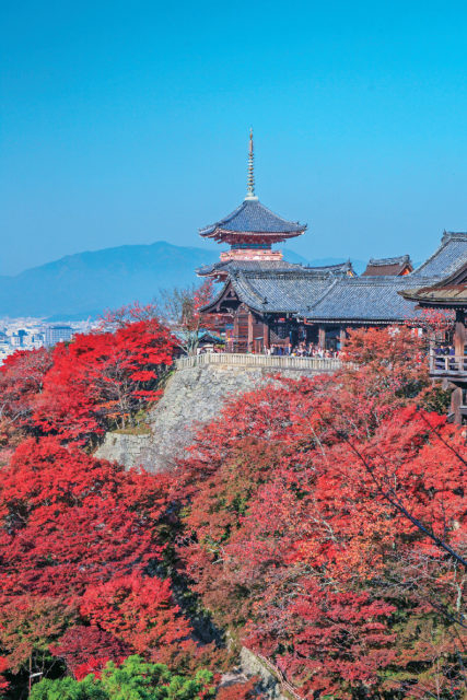 京都 清水寺周辺の紅葉おすすめスポット まっぷるトラベルガイド