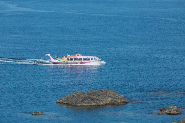 青海島クルージング