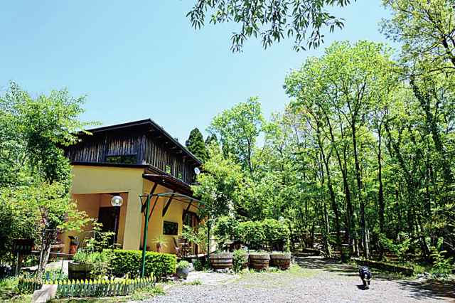 木漏れ日がきらめく森の中のレストラン「レストランキムラ」