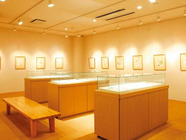 深沢紅子野の花美術館