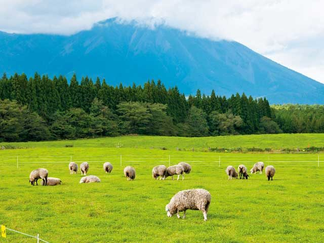 岩手観光のおすすめモデルコースはこれ 岩手を満喫する日帰り 2泊3日の4プランをご紹介 まっぷるトラベルガイド