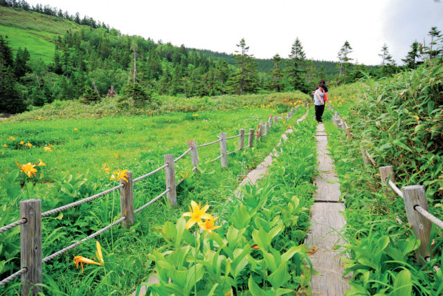 【八幡平×トレッキング】黒谷地湿原