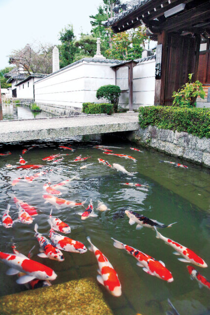 【滋賀・五個荘×商人屋敷見学】五個荘近江商人屋敷
