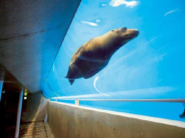 城崎マリンワールド 体験型水族館の楽しみ方 まっぷるトラベルガイド