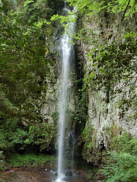 【東郷湖のおすすめ観光スポット】安山岩の絶壁から飛瀑する姿が荘厳で美しい「今滝」
