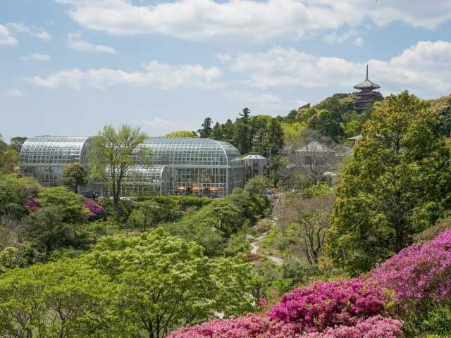 高知県立牧野植物園 グリーンの世界を覗いてみよう まっぷるトラベルガイド