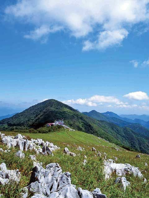 高知 四国カルスト 雲の上の絶景スポット 観光旅行メディア まっぷるトラベルガイド