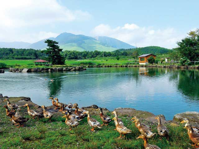 【由布院・阿蘇×観光】くじゅう