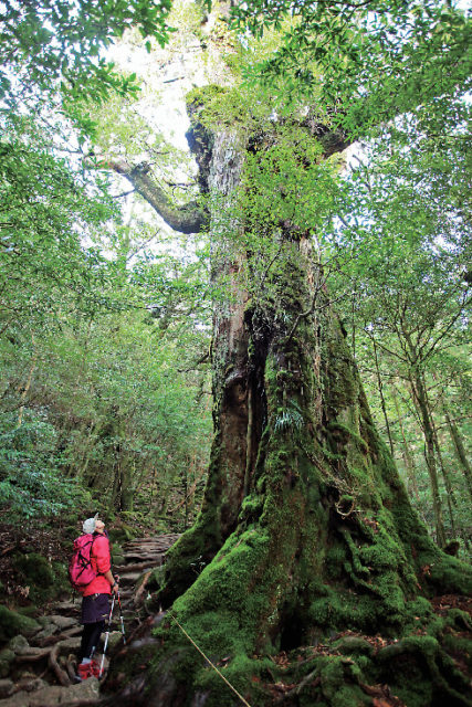 こんなコトができる!