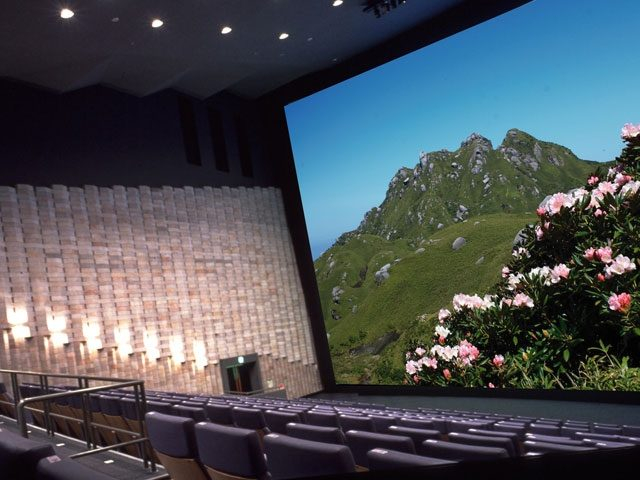 【宮之浦周辺×観光】屋久島の旅はここから! 雨の日にもおすすめ「屋久島環境文化村センター」