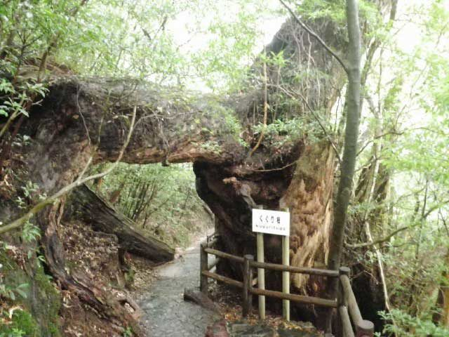 屋久島 完全トレッキングガイド いざ出発 観光旅行メディア まっぷるトラベルガイド