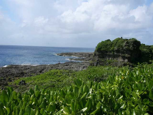 喜界島 どんなトコ 見どころ 基本情報をチェック 観光旅行メディア まっぷるトラベルガイド