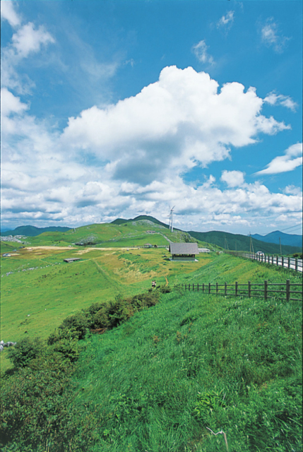 高知 四国カルスト 雲の上の絶景スポット 観光旅行メディア まっぷるトラベルガイド