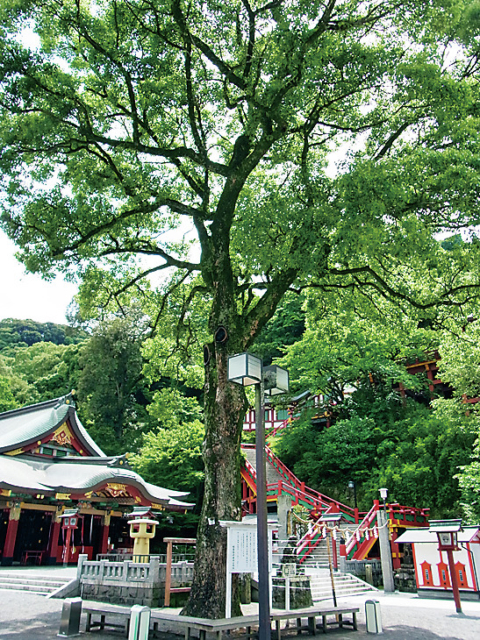 佐賀 日本三大稲荷 祐徳稲荷神社はパワースポット 恋愛成就にご利益あり まっぷるトラベルガイド