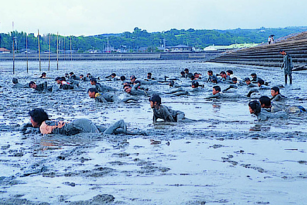 道の駅鹿島で有明海の干潟を満喫 干潟体験 グルメをチェック まっぷるトラベルガイド