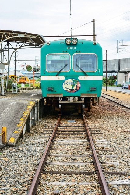 静岡観光はこれでok 静岡観光のポイントとおすすめスポットをご紹介 観光旅行メディア まっぷるトラベルガイド