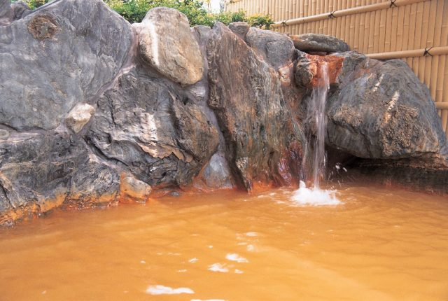 南道後温泉ていれぎの湯