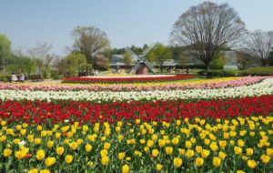 姫路城 見学ルート 見どころを押さえて歩こう 観光旅行メディア まっぷるトラベルガイド