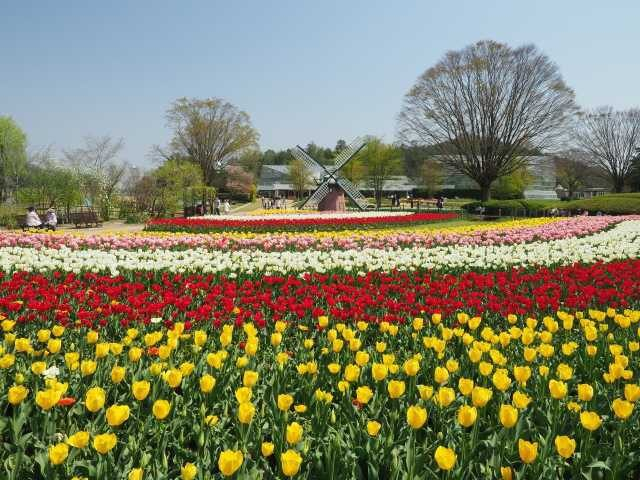 姫路 播磨 で人気 おすすめの観光 グルメスポット 観光旅行メディア まっぷるトラベルガイド