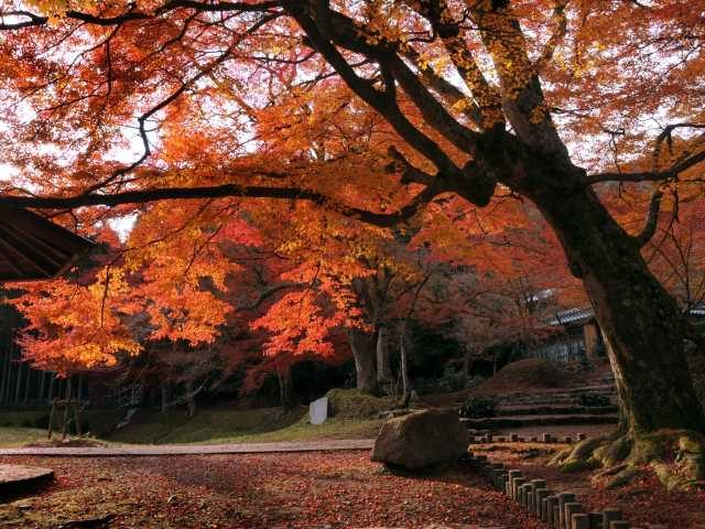 丹波 篠山 で人気 おすすめの観光 グルメスポット まっぷるトラベルガイド