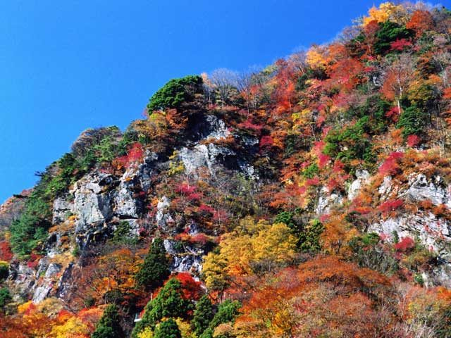 愛媛県 新居浜で人気 おすすめの観光 グルメスポット まっぷるトラベルガイド