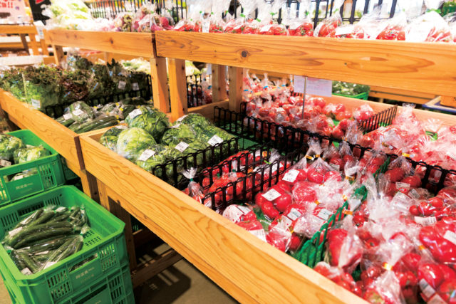 【徳島×産直市】新鮮な野菜や果物、徳島メイドの加工品がずらり「阿波食ミュージアム」