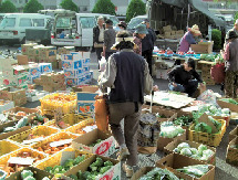 【徳島×産直市】来場者約2万人を誇る大規模市「徳島びっくり日曜市」