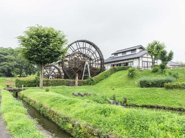 栃木 おすすめ道の駅 ご当地の魅力が盛りだくさん まっぷるトラベルガイド