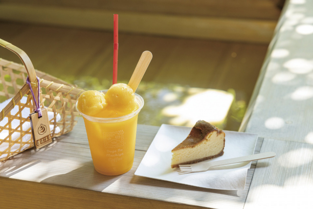 道後のカフェ⑥ 足湯カフェふとほと