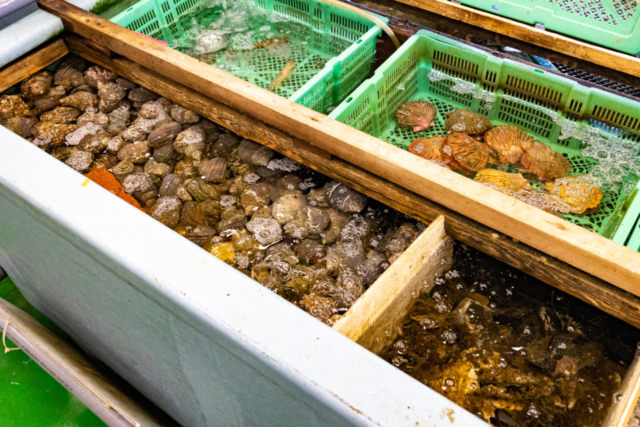 鮮度抜群の海鮮料理を漁協直営店でどうぞ「能島水軍レストラン」(大島)