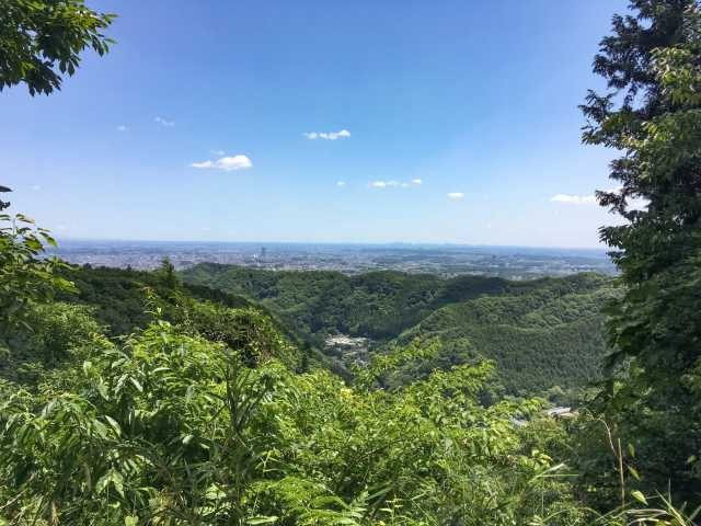 高尾山 自然満喫登山コース ちょこっと本格的 観光旅行メディア まっぷるトラベルガイド