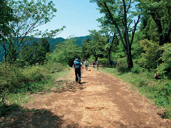 チャレンジコース 城山〜高尾山