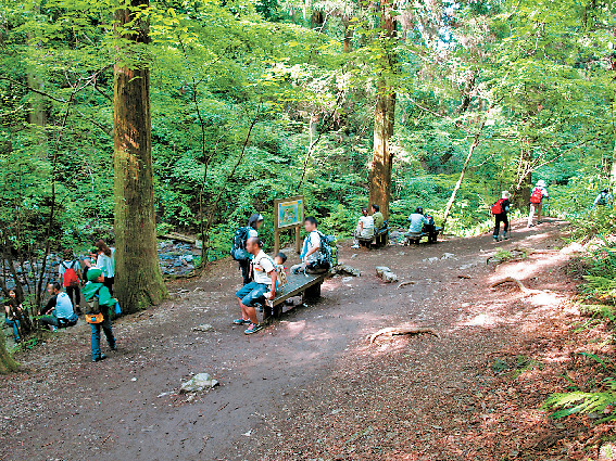 ステップアップコース 6号路〜1号路