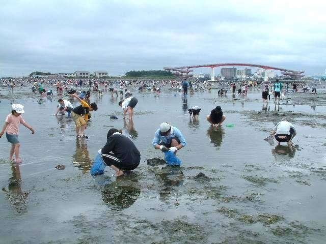 21最新版 全国潮干狩りスポット 達人に聞く 潮干狩りの時期や持ち物 服装 採り方のコツも 観光旅行メディア まっぷるトラベルガイド