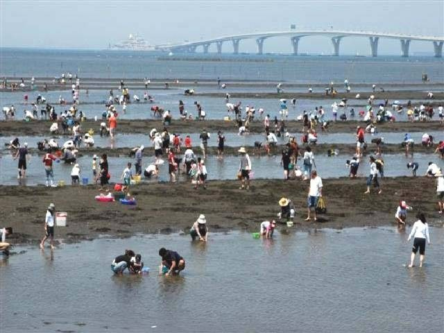 21最新版 全国潮干狩りスポット 達人に聞く 潮干狩りの時期や持ち物 服装 採り方のコツも まっぷるトラベルガイド