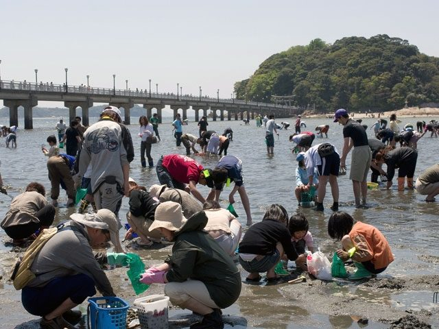 21最新版 全国潮干狩りスポット 達人に聞く 潮干狩りの時期や持ち物 服装 採り方のコツも まっぷるトラベルガイド