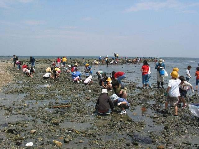 最新版 全国潮干狩りスポット 達人に聞く 潮干狩りの時期や持ち物 服装 採り方のコツも 観光旅行メディア まっぷるトラベルガイド