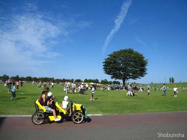 コロナでも3密を避けて遊びたい 全国 無料 格安で遊べる広い公園 観光旅行メディア まっぷるトラベルガイド