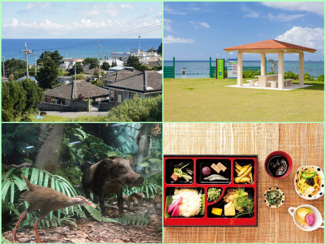 沖縄北部 やんばる の森カフェ 自然豊かなロケーションでリラックスしよう まっぷるトラベルガイド