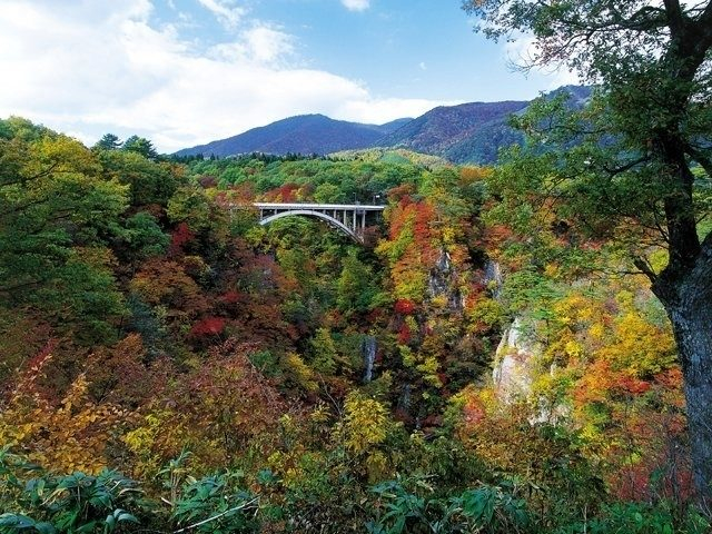 全国のおすすめ紅葉スポット 22年版 例年の見頃時期やイベント ライトアップなど情報満載 まっぷるトラベルガイド