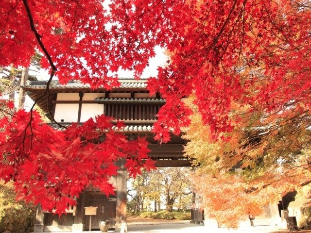 秋の絶景を見に行く 全国 10 11月が見頃の紅葉名所 おすすめ35選 まっぷるトラベルガイド