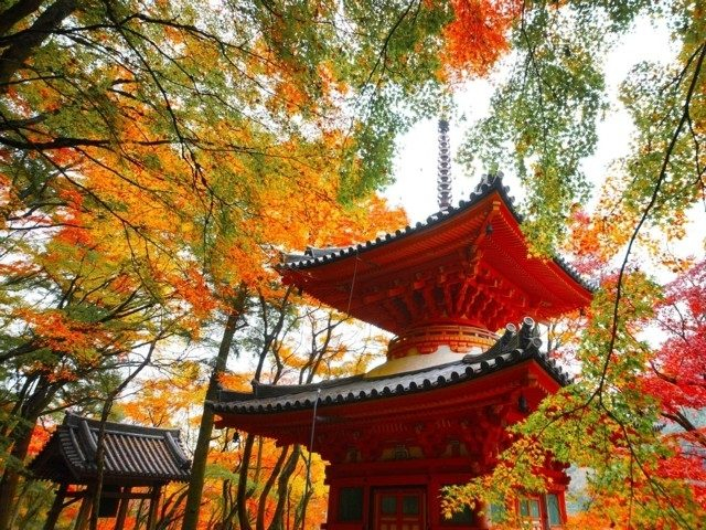 今年の紅葉をお見逃しなく 11月中旬 12月が見頃の紅葉名所 25選 観光旅行メディア まっぷるトラベルガイド